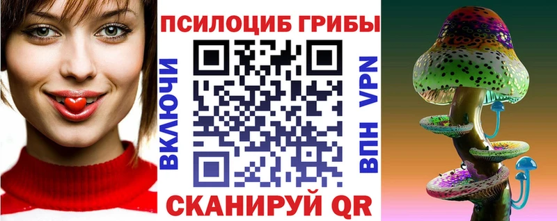 Купить закладки  Новомичуринск  Псилоцибиновые грибы мицелий 